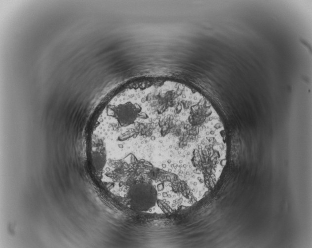 X0000100220584200806201510