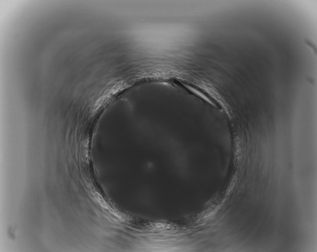 X0000100220585200806201510