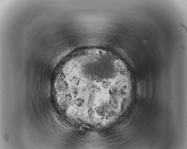 X0000100220588200806201510