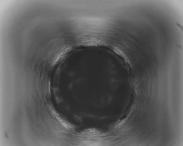 X0000100220589200806201510