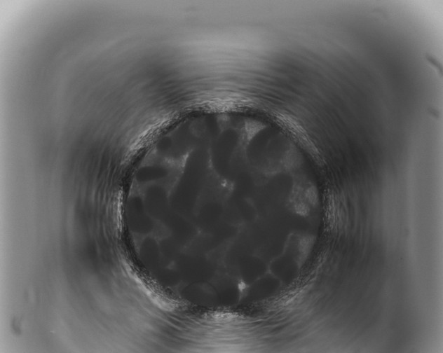 X0000100220590200806201509