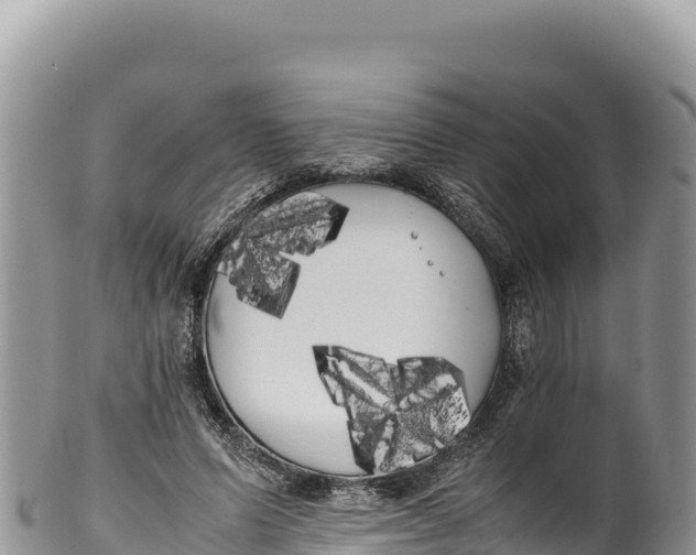 X0000100220591200806201509