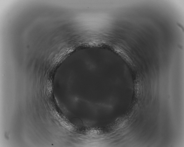 X0000100220593200806201509