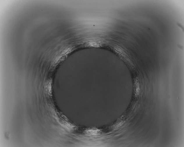 X0000100220595200806201509