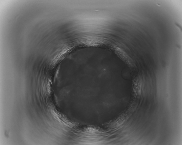 X0000100220596200806201509