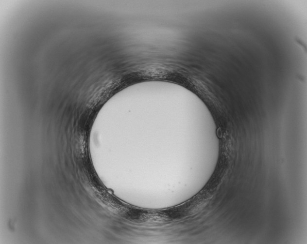 X0000100220597200806201509