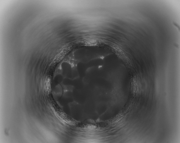 X0000100220598200806201509