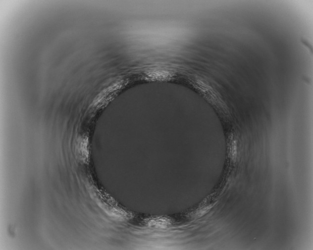 X0000100220599200806201509