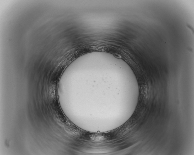 X0000100220602200806201509