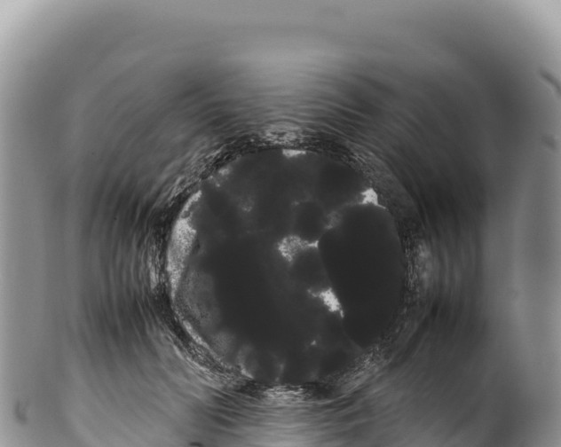 X0000100220606200806201509