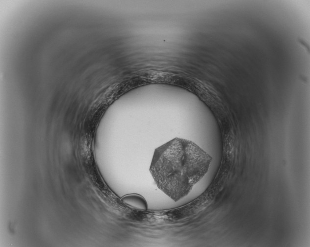 X0000100220607200806201509