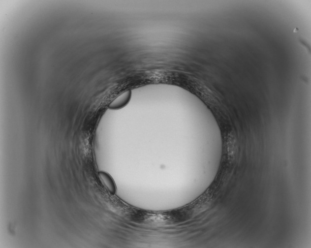 X0000100220611200806201509