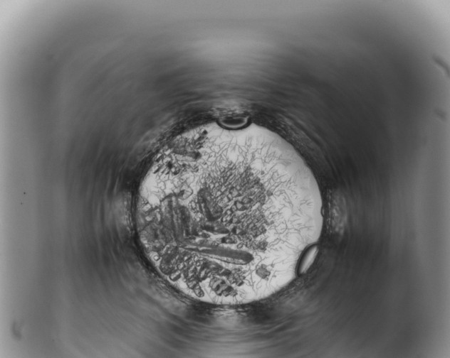 X0000100220616200806201509