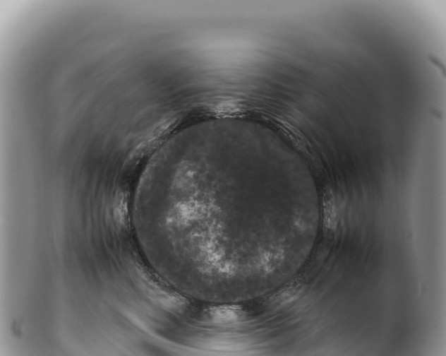 X0000100220618200806201509