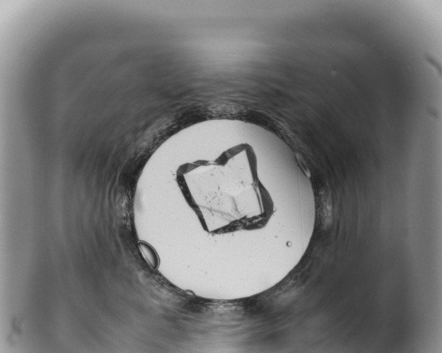 X0000100220619200806201509