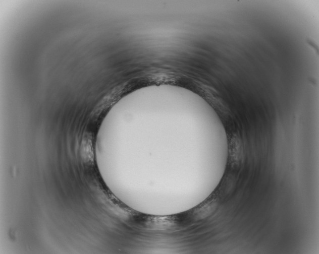 X0000100220622200806201509