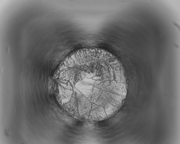 X0000100220624200806201509