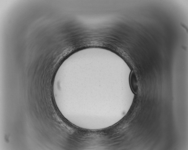 X0000100220625200806201508