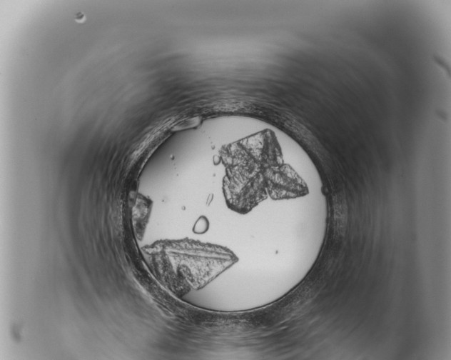 X0000100220626200806201508