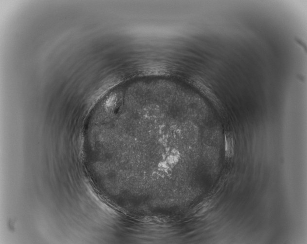 X0000100220627200806201508