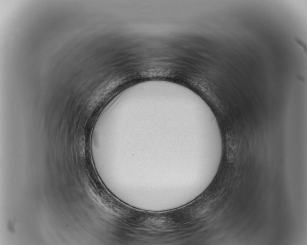 X0000100220631200806201508