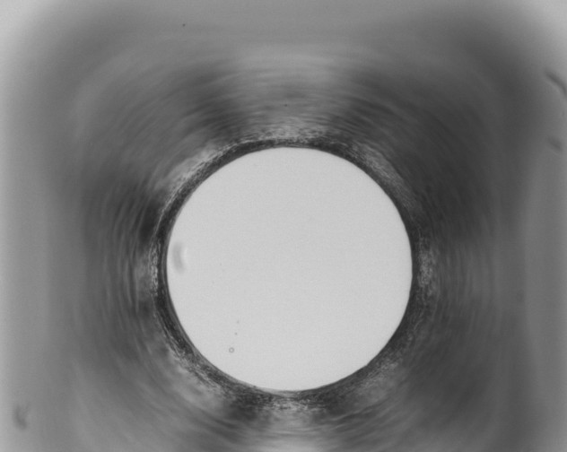 X0000100220632200806201508