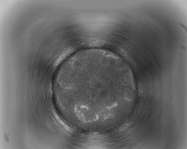 X0000100220634200806201508