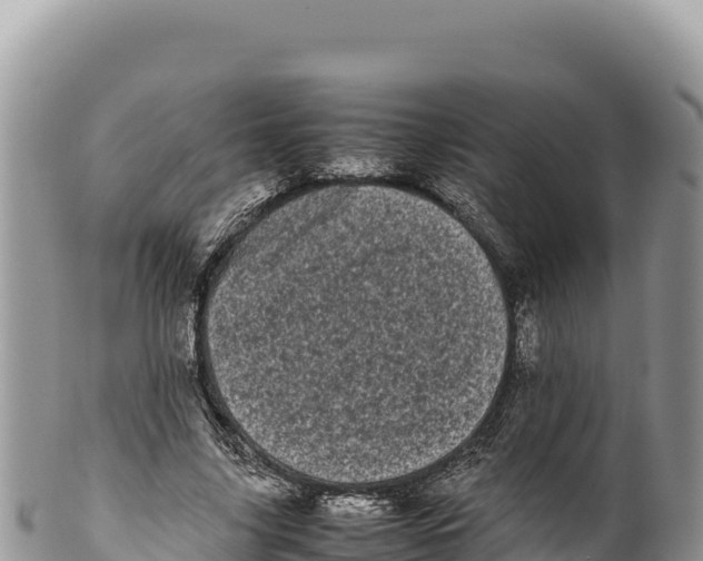 X0000100220635200806201508