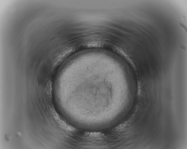 X0000100220637200806201508