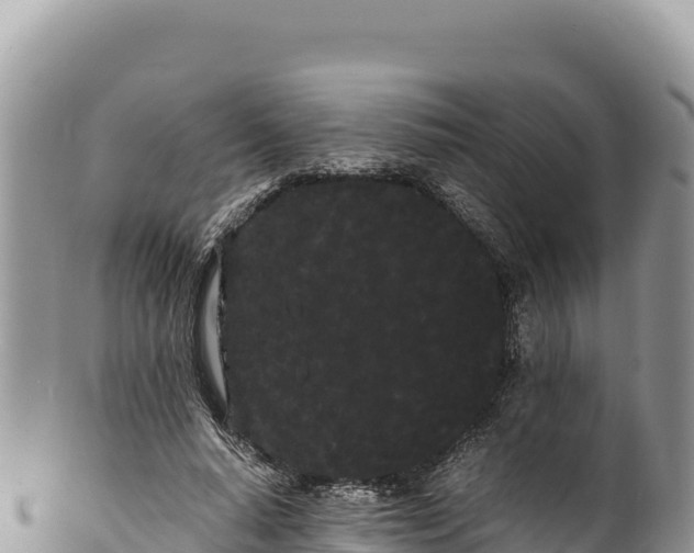 X0000100220640200806201509