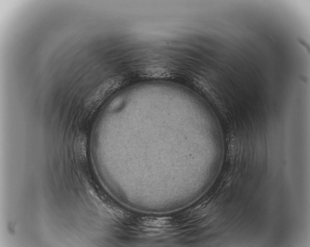 X0000100220643200806201509