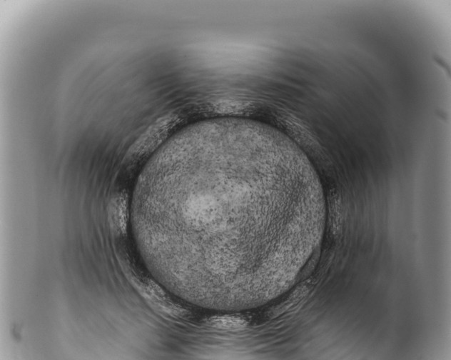 X0000100220644200806201509