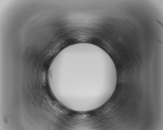 X0000100220646200806201509