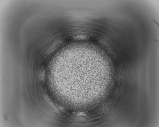 X0000100220647200806201509