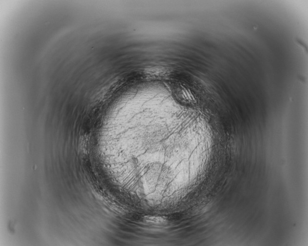 X0000100220649200806201509