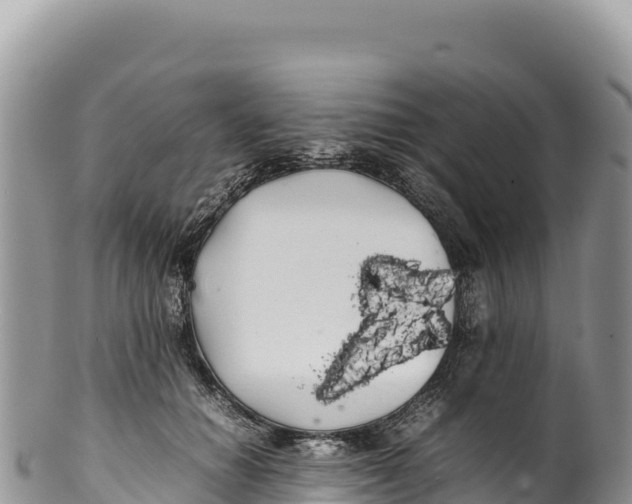 X0000100220654200806201509