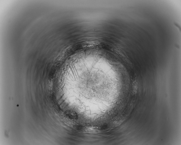 X0000100220657200806201509