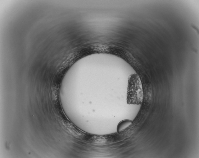 X0000100220658200806201509