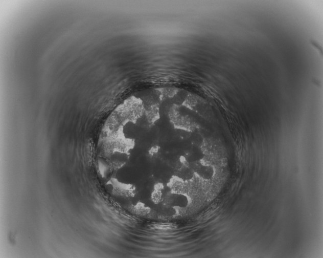 X0000100220659200806201509