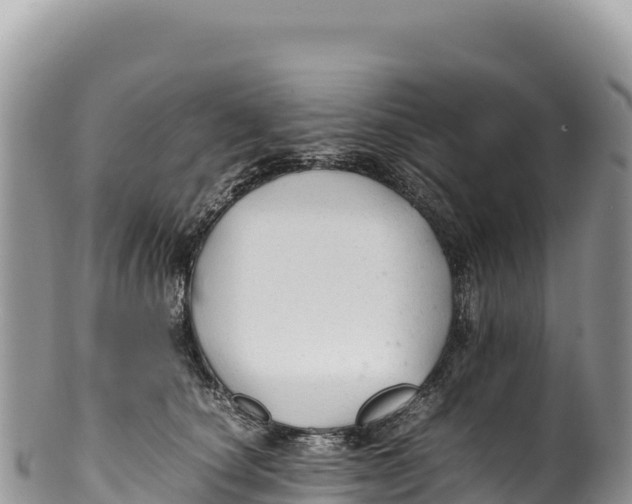 X0000100220660200806201509