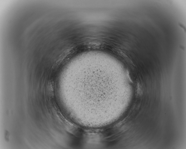 X0000100220661200806201509