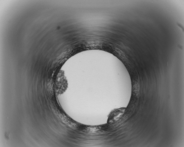 X0000100220662200806201509