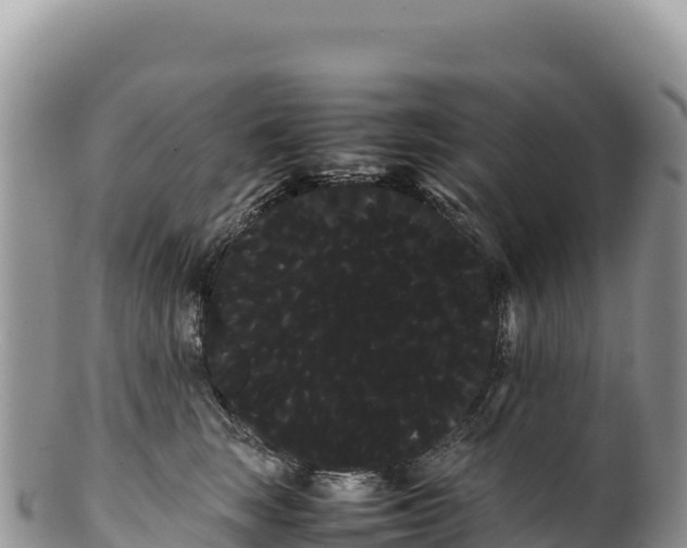 X0000100220663200806201509