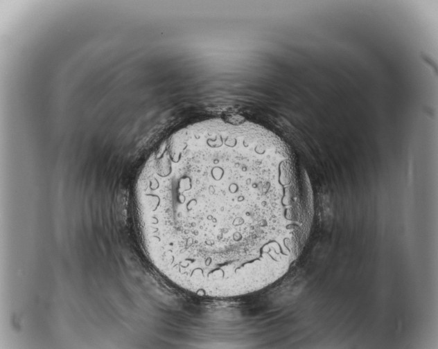 X0000100220664200806201509