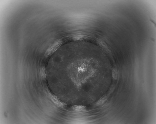 X0000100220670200806201509