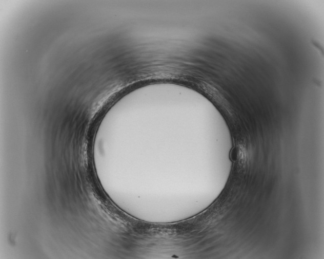 X0000100220676200806201508