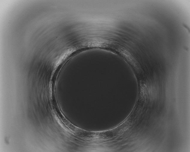 X0000100220678200806201508