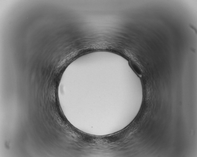 X0000100220681200806201508