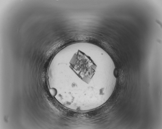 X0000100220683200806201508