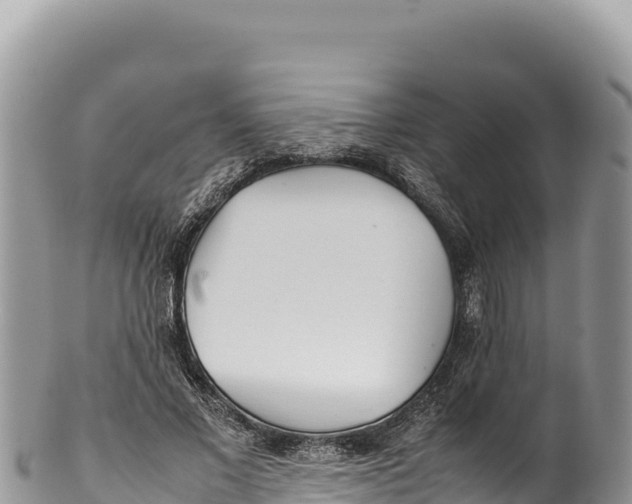 X0000100220685200806201508